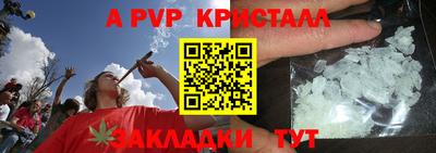 бошки Шелехов