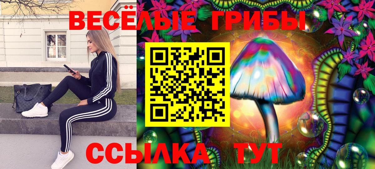 Галлюциногенные грибы Psilocybe Амурск