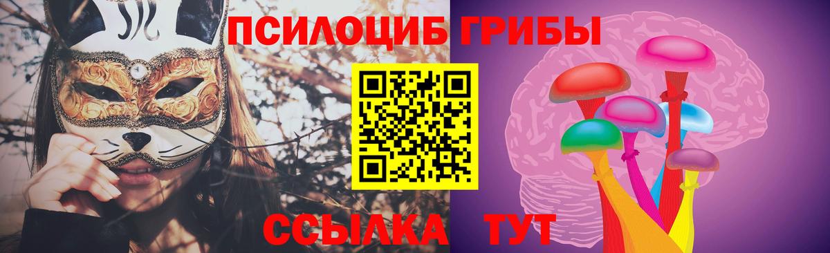 Псилоцибиновые грибы Psilocybe  Галлюциногенные грибы Cubensis  Амурск  Вход с VPN 